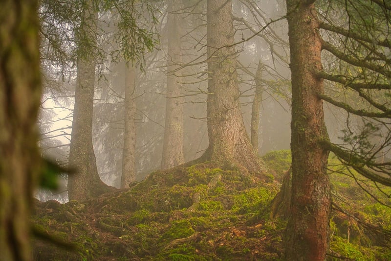 Outdoor Clothing